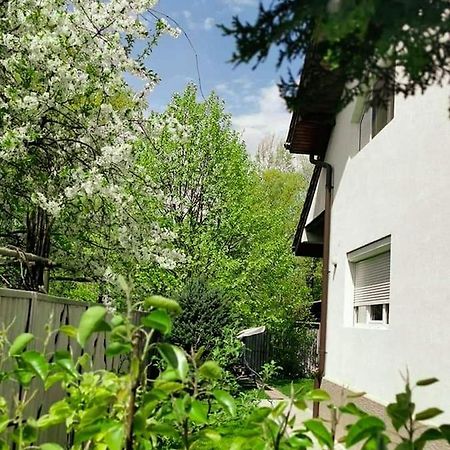 Casa File De Poveste Zsilvásárhely Kültér fotó