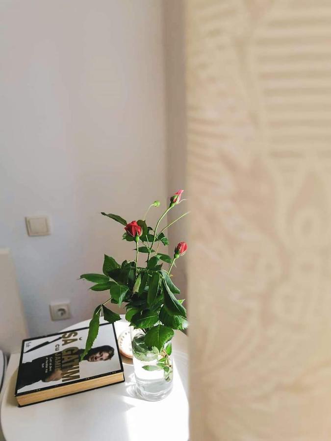 Casa File De Poveste Zsilvásárhely Kültér fotó