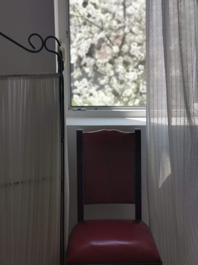 Casa File De Poveste Zsilvásárhely Kültér fotó